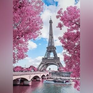 NWT- 8x12 Diamond Art Kit. Paris.